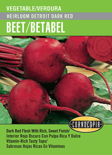 'Heirloom Detroit Dark Red' Beet/Betabel - Spanish/English