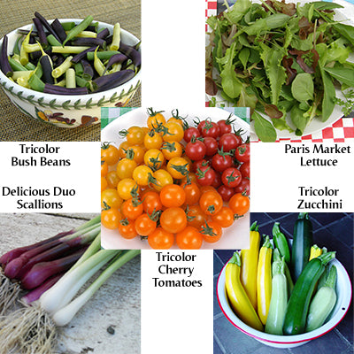 The Rainbow Kitchen Vegetable Garden