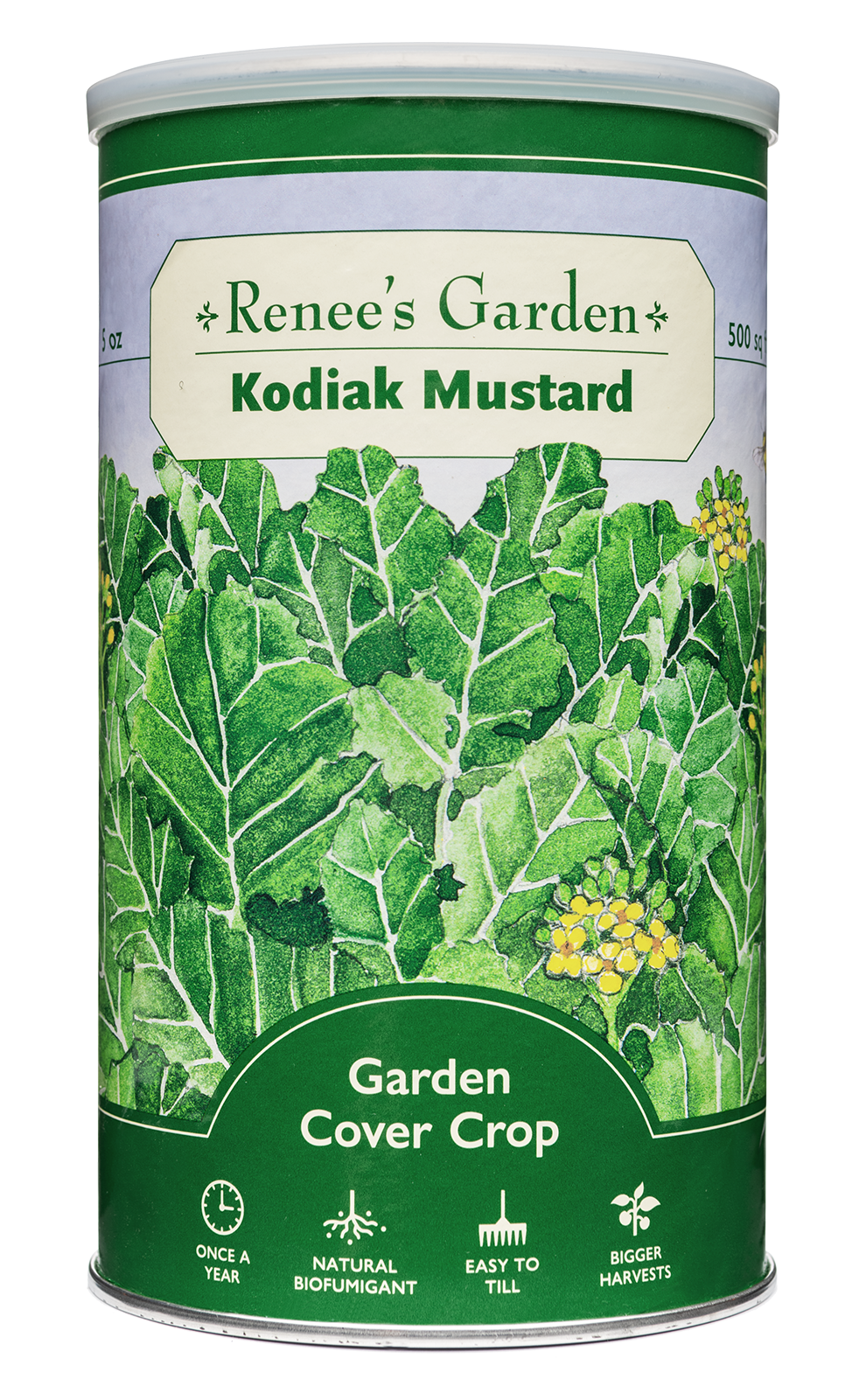 Cover Crop - Kodiak Mustard
