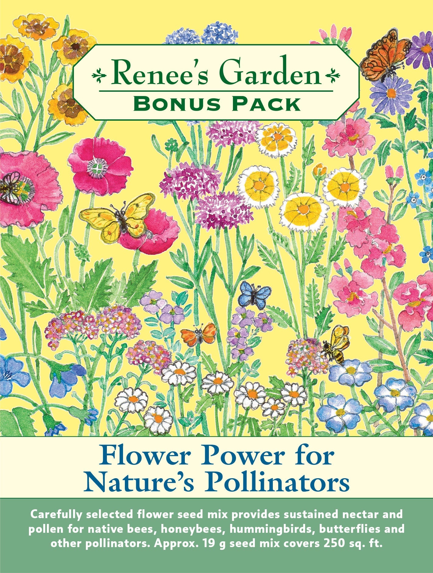 Flower Power for Nature’s Pollinators