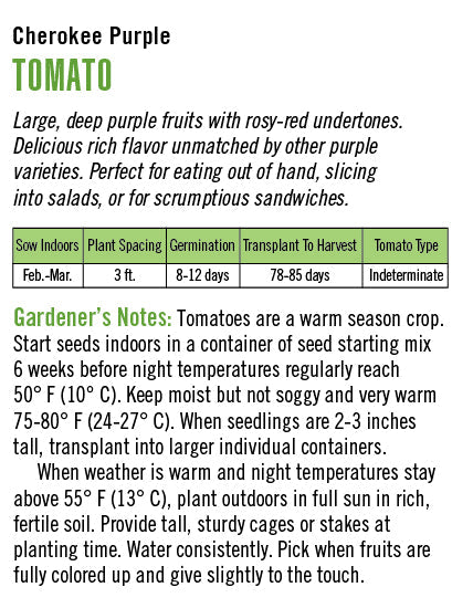 'Cherokee Purple' Heirloom Tomato