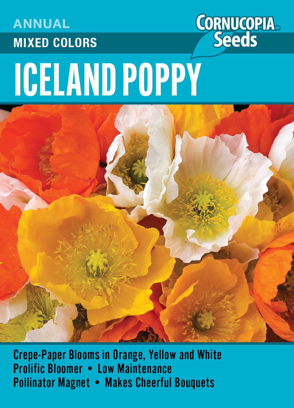 ‘Mixed Colors’ Iceland Poppy