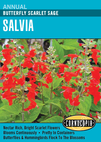 'Butterfly Salvia' Scarlet Sage