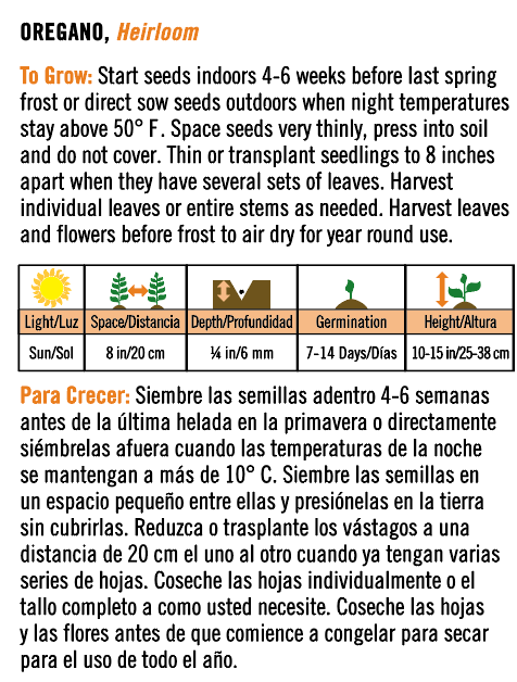 Heirloom Oregano - Spanish/English