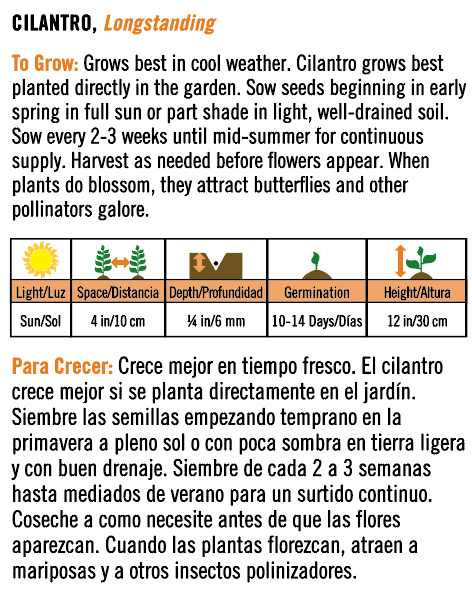 'Longstanding' Cilantro - Spanish/English
