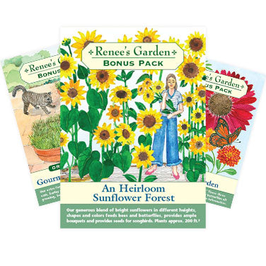 Stock Seed Wi Asst RG Bonus Pack Spinner