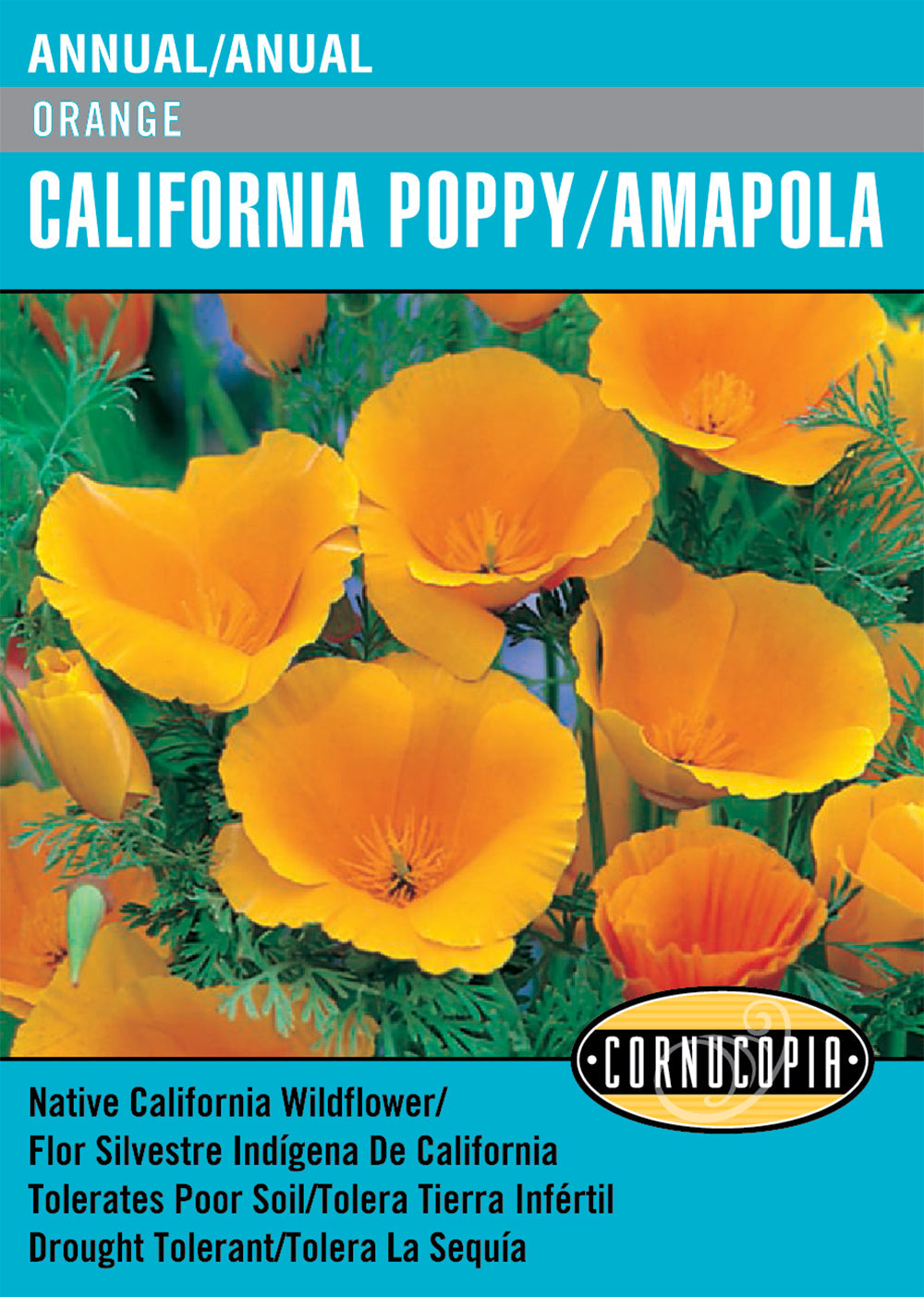 'Orange' California Poppy/Amapola - English/Spanish