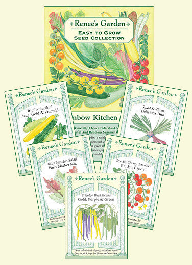 The Rainbow Kitchen Vegetable Garden