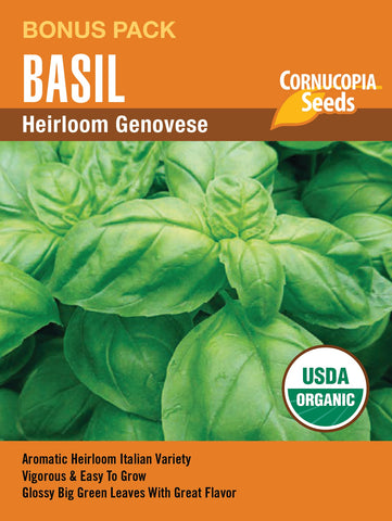 Heirloom Genovese Basil