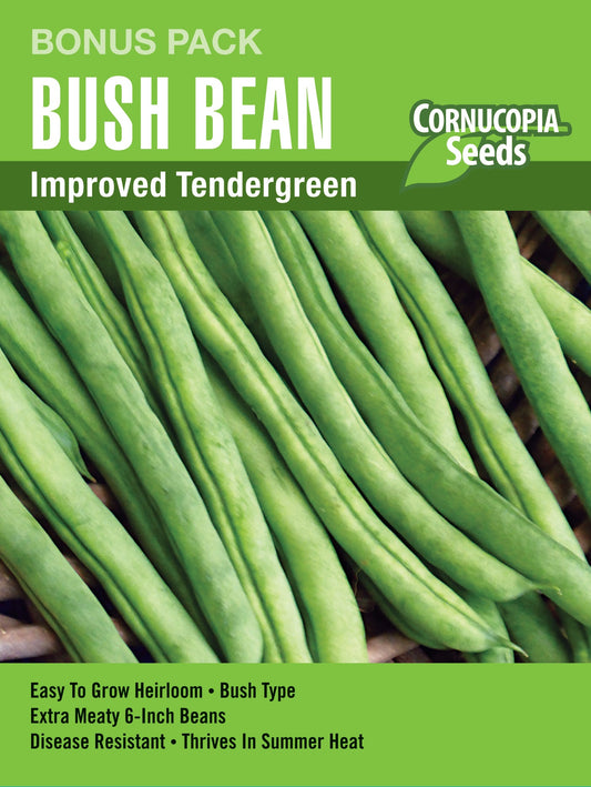 Bush Bean Improved Tendergreen