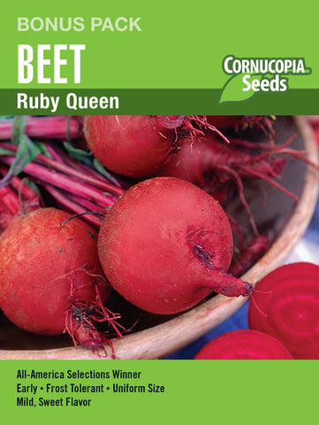 Ruby Queen Beet