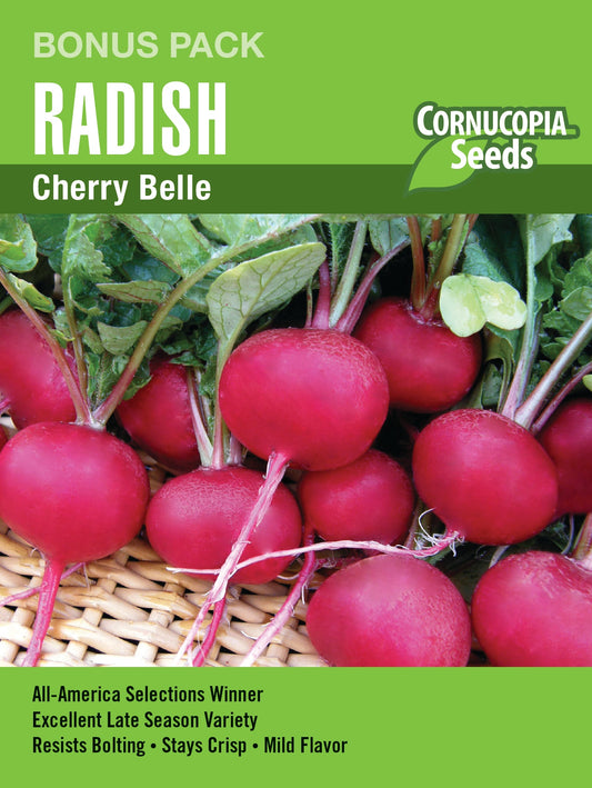 Cherry Belle Radish