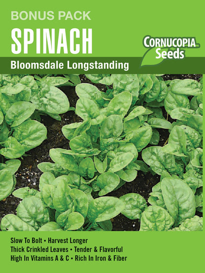 Bloomsdale Longstanding Spinach