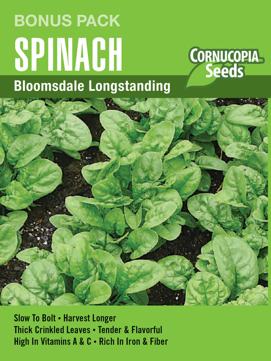 Bloomsdale Longstanding Spinach