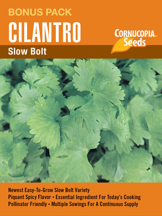 Cilantro Slow Bolt