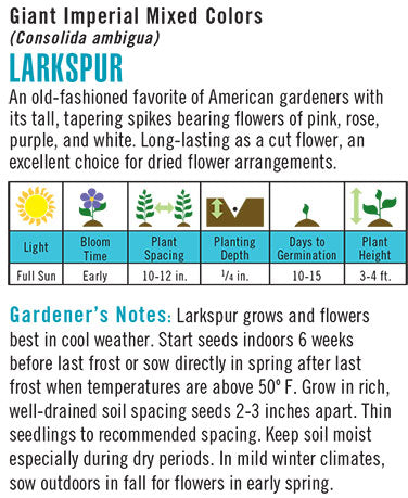 Larkspur 'Giant Imperial Mixed Colors'