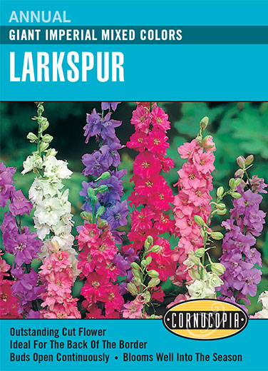 Larkspur 'Giant Imperial Mixed Colors'