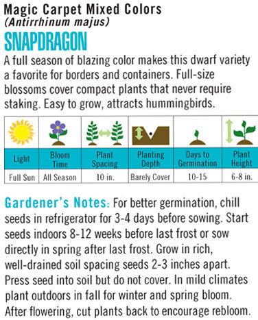 Heirloom Snapdragon, Magic Carpet Mixed Colors