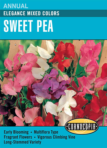 Sweet Pea Elegance Mixed Colors