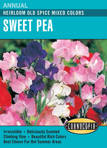 Sweet Pea 'Old Spice Mixed Colors'