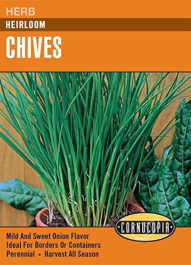 Chives