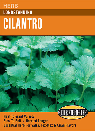'Longstanding' Heirloom Cilantro