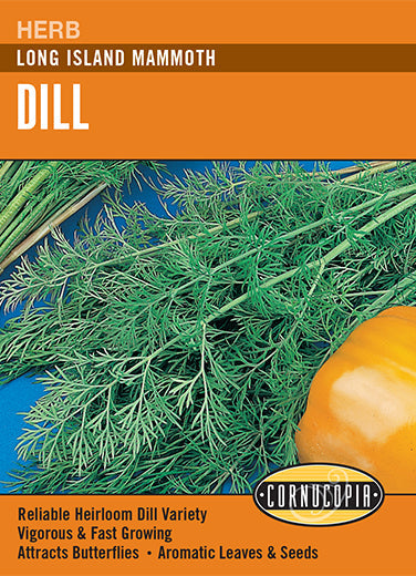 Dill Long Island Mammoth Seeds