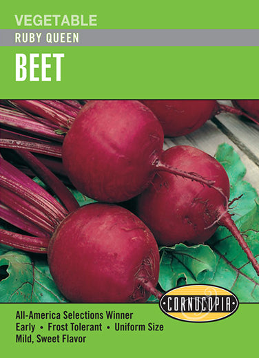Heirloom Beet, Ruby Queen