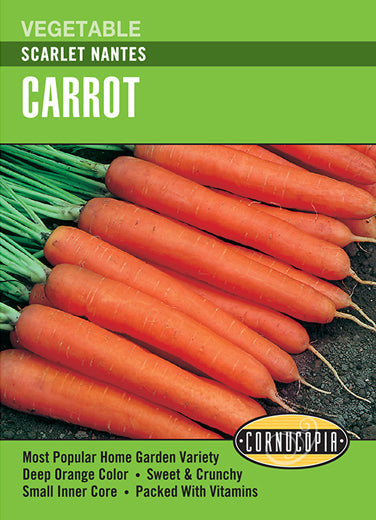 Heirloom Carrot, Scarlet Nantes