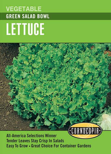 Lettuce Green Salad Bowl Seeds