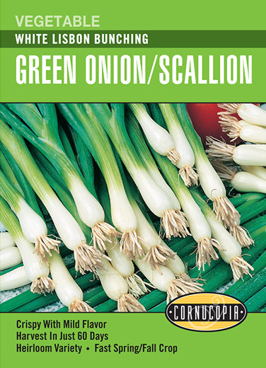 Heirloom Onion, White Lisbon Bunching
