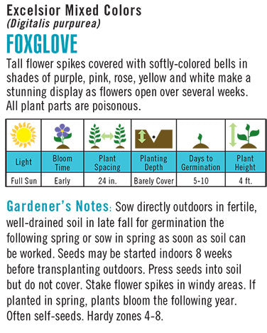Heirloom Foxglove, Excelsior Mixed Colors