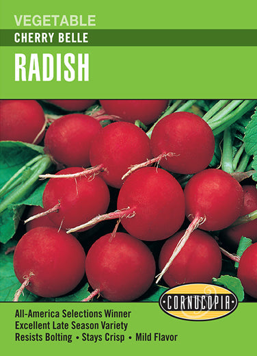 Heirloom Radish, Cherry Belle