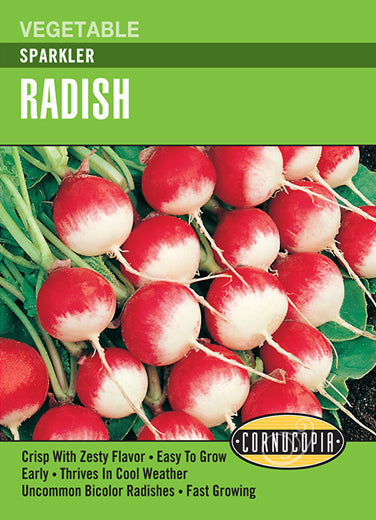 Heirloom Radish, Sparkler