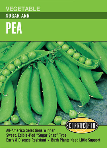 Heirloom Pea, Sugar Ann