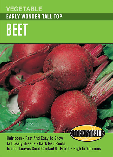 Beet Early Wonder