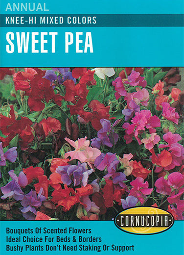 Heirloom Sweet Pea, Knee High Mixed Colors