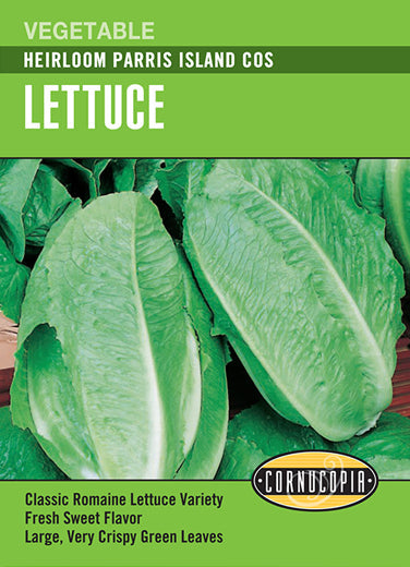Heirloom Lettuce, Parris Island Cos