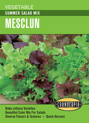 Heirloom Lettuce, Mesclun Summer Salad Mix
