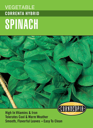 Spinach Correnta Hybrid Seeds