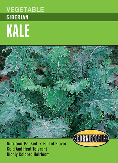 Kale Siberian Seeds