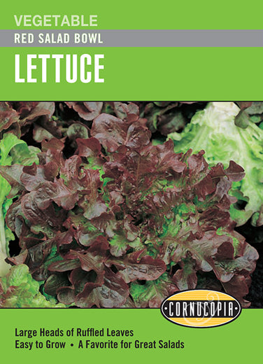 Heirloom Lettuce, Red Salad Bowl