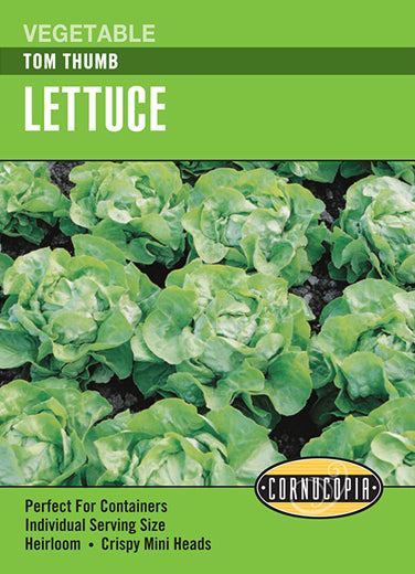 Heirloom Lettuce, Tom Thumb