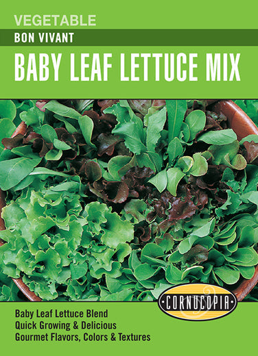 Heirloom Lettuce, Bon Vivant Baby Leaf Mix
