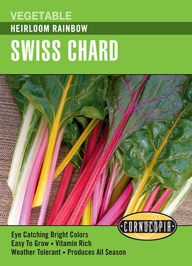 Heirloom Rainbow Swiss Chard