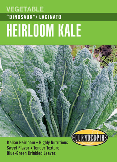 "Dinosaur"/Lacinato Kale
