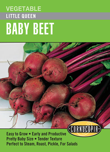 Baby Beet "Little Queen"