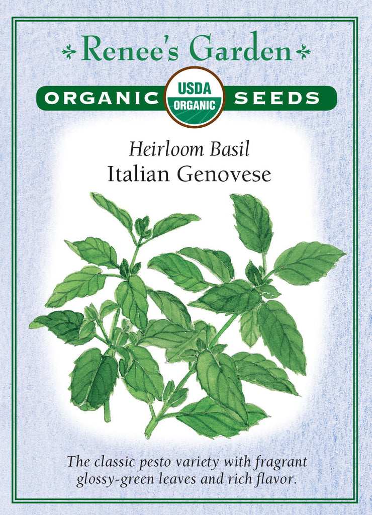 Italian Genovese