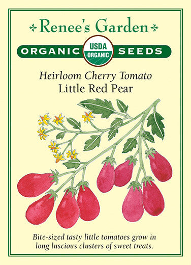 Little Red Pear