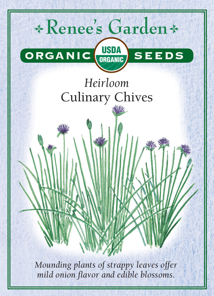 Culinary Chives